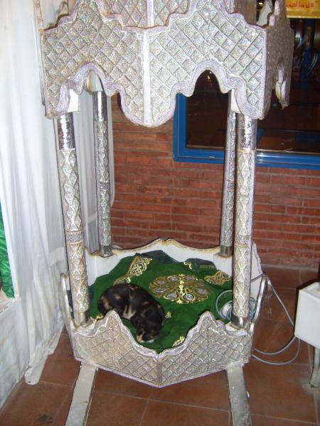 un chats fi 3amariya 